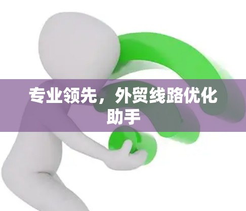 专业领先，外贸线路优化助手