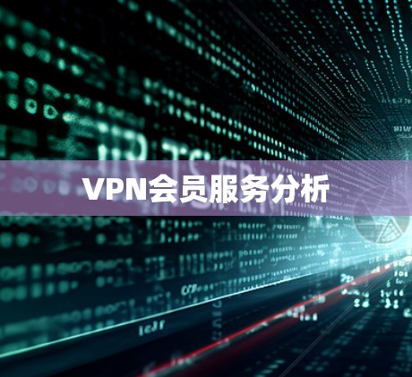 VPN会员服务分析