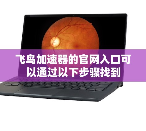 飞鸟加速器的官网入口可以通过以下步骤找到