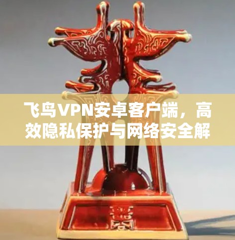 飞鸟VPN安卓客户端，高效隐私保护与网络安全解决方案