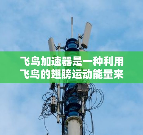 飞鸟加速器是一种利用飞鸟的翅膀运动能量来加速的小型飞行器，其使用方法可以分为几个关键步骤，确保安全和有效的飞行。以下是使用飞鸟加速器的详细指南