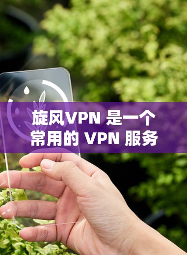 旋风VPN 是一个常用的 VPN 服务提供商，用户可以通过其官方网站或相关应用商店下载电脑版软件。以下是一些关于旋风VPN 电脑版的基本信息和操作指南