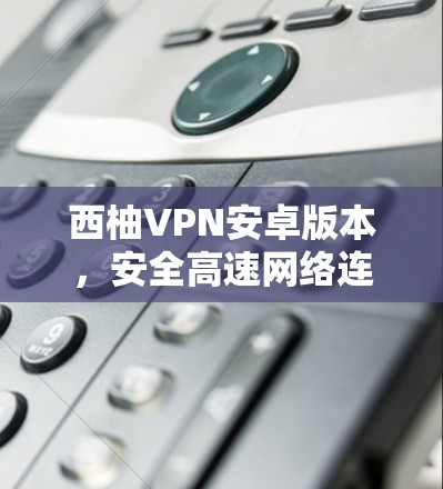 西柚VPN安卓版本，安全高速网络连接的最佳选择