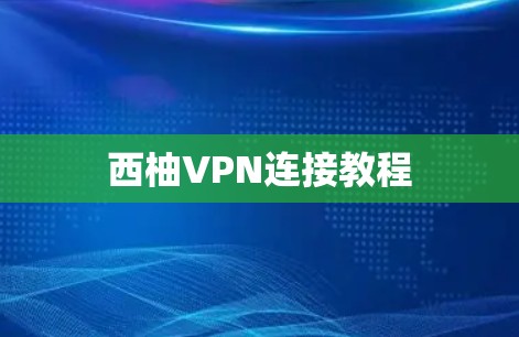 西柚VPN连接教程