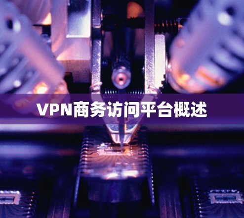 VPN商务访问平台概述