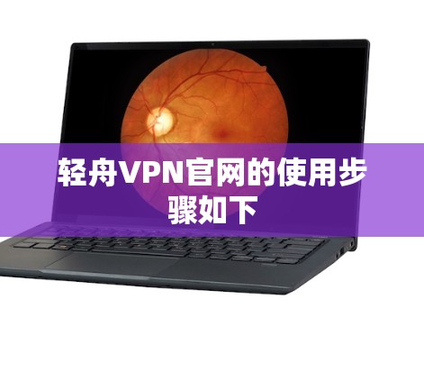 轻舟VPN官网的使用步骤如下